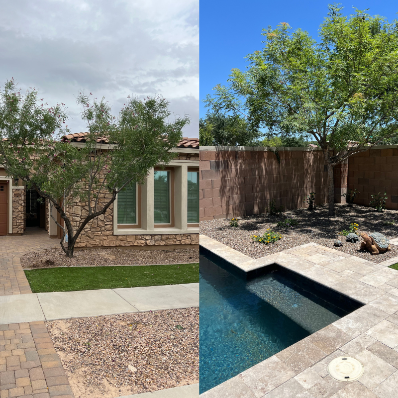 tree_trimming_services_chandler_arizona (1)